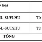 Kiểm Tra Và Thay Thế Ống Chân Không Bầu Trợ Lực Phanh Fortuner
